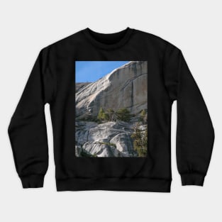 Dwarf Trees Above Tenaya Crewneck Sweatshirt